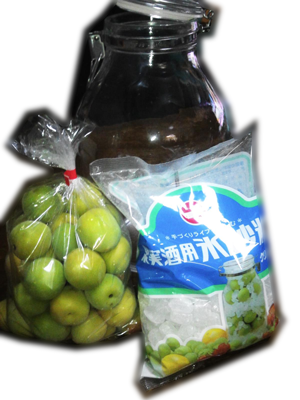 梅酒_材料.png
